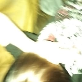 Profilbild von lea Schellenberg Singer-Songwriter*in aus Löhne