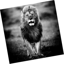 Seo.images.profile.avatar.name-category-city