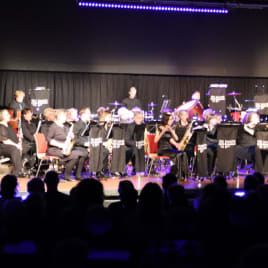 Profilbild von VielHarmonie Orchester Elmshorn Klarinettist*in aus Bokholt-Hanredder