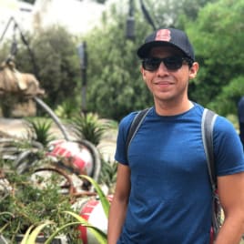 Profilbild von Luis Murguia Audio-Designer aus Neckargemünd