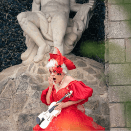 Profilbild von Julia Graeber Geigerin aus Wernigerode