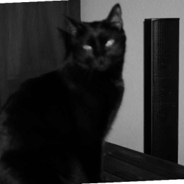 Profilbild von Eric Bassist*in aus Herzogenrath