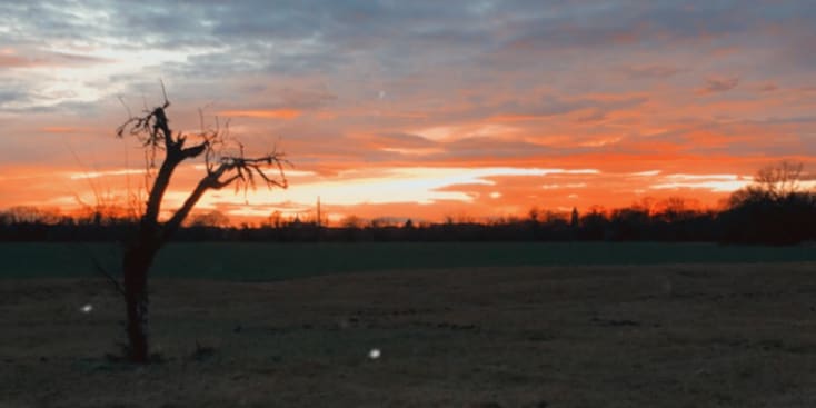 Bannerbild von Jeffrey Sängerin aus Dessau-Roßlau