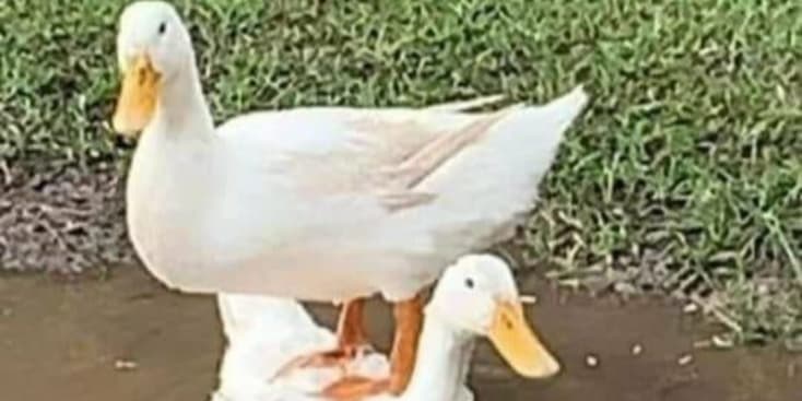 Seo.images.profile.banner.name-category-city