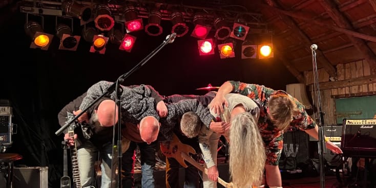 Bannerbild von BLFS Bassist*in aus Itzehoe