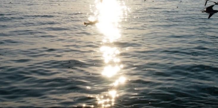 Bannerbild von Jo Jo Iasonas Musikproduzent*in aus Sundern (Sauerland)