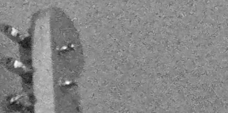 Bannerbild von Lili Gitarrist*in aus Würzburg