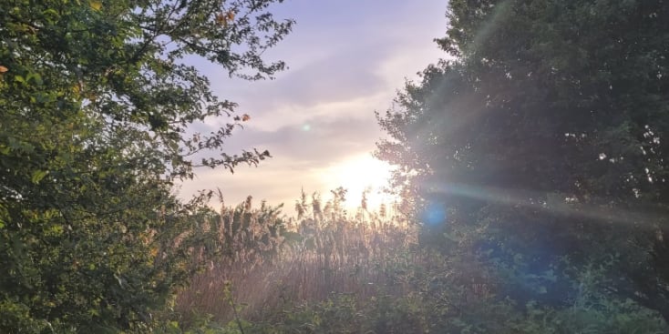 Bannerbild von Anni Sängerin aus Heppenheim (Bergstraße)