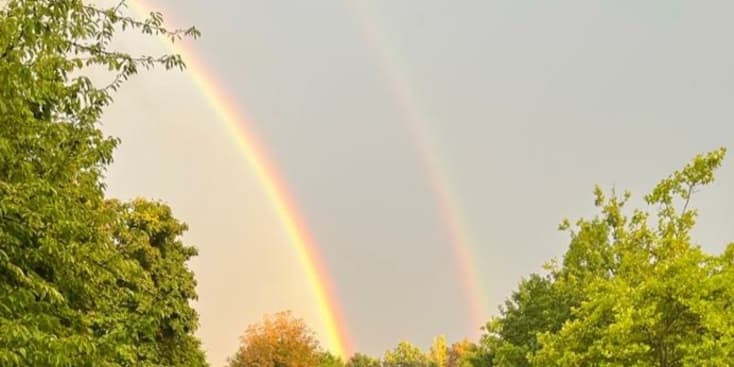 Bannerbild von Marco Gitarrist*in aus Lauf an der Pegnitz