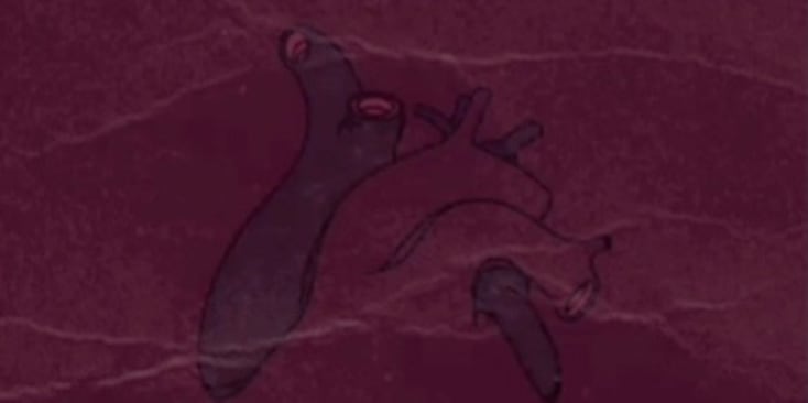 Bannerbild von Kymikazee Oxy Musikproduzent*in aus Solothurn