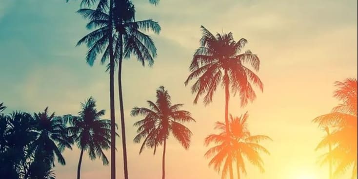 Bannerbild von Jamiro Rapper*in aus Freising