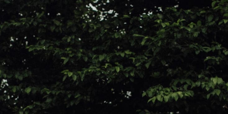 Seo.images.profile.banner.name-category-city