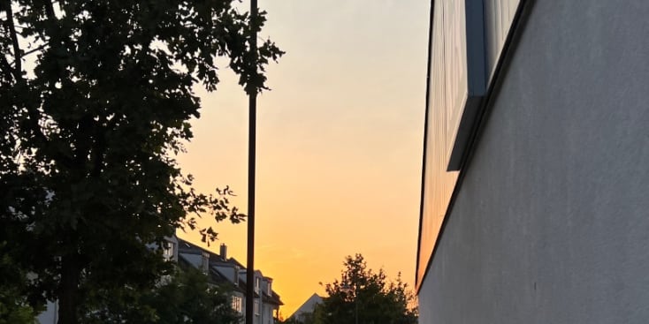 Bannerbild von Simon Zuleta Künstler*in aus Berlin