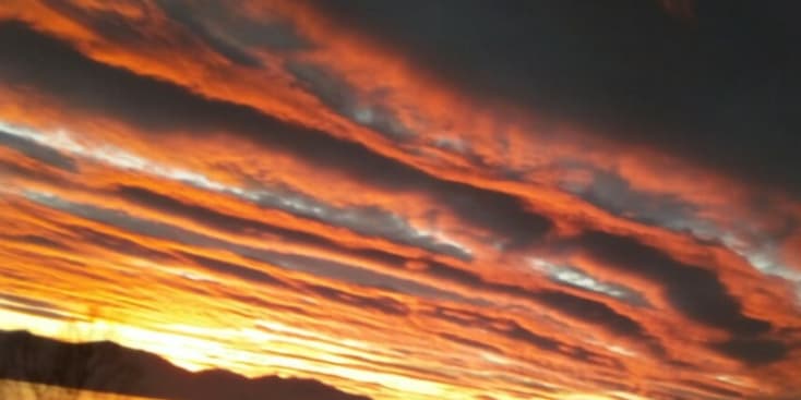 Bannerbild von Gerasim Bassist aus Laatzen