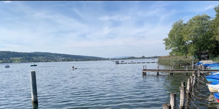 Bannerbild von massimo Gitarrist*in aus Zürich