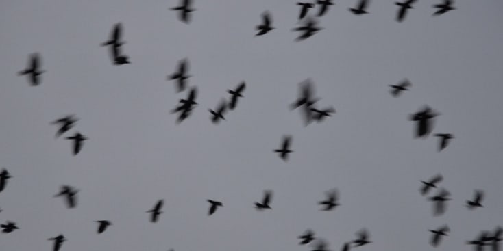 Bannerbild von Joshua Worts Solokünstler*in aus Krefeld