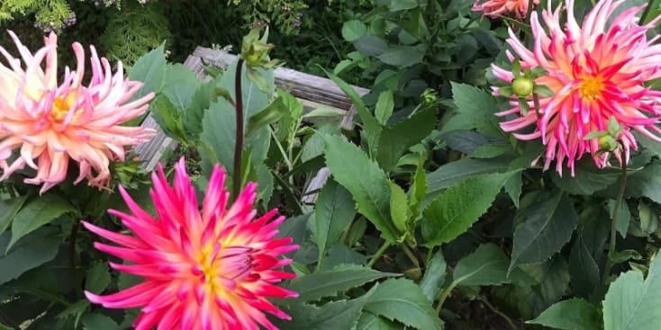 Bannerbild von Sam Maddox Instrumentalist*in aus Hinwil