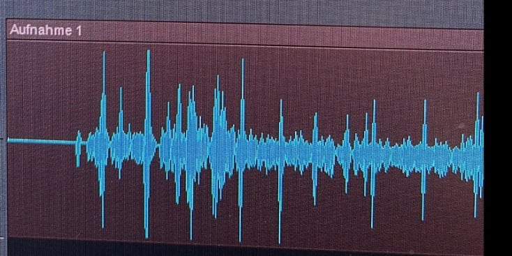 Bannerbild von Ulovemyvoice Hoe Instrumentalist*in aus Bremen