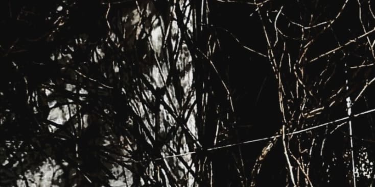 Bannerbild von Sosthenes Duke Sänger*in aus Bonn