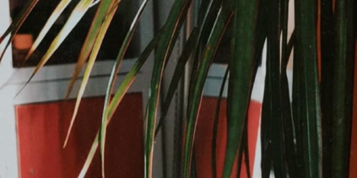 Seo.images.profile.banner.name-category-city