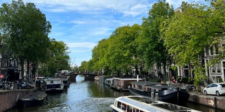 Bannerbild von Marius Sänger*in aus Frankfurt am Main