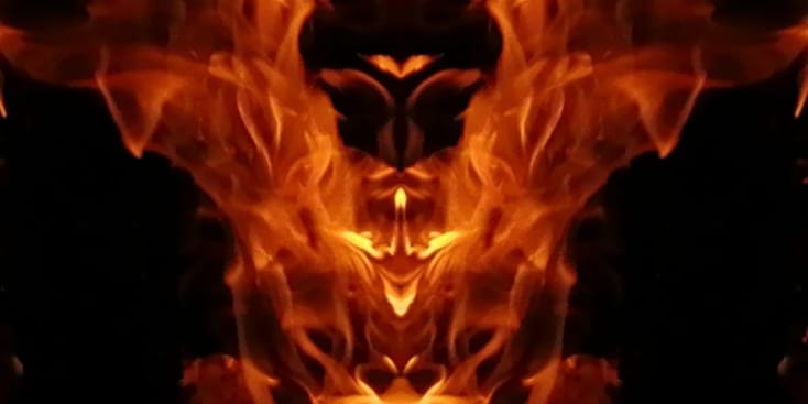 Bannerbild von Elions Tree Instrumentalist*in aus 