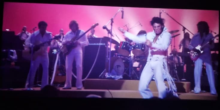 Bannerbild von Andy Bassist*in aus Hamm