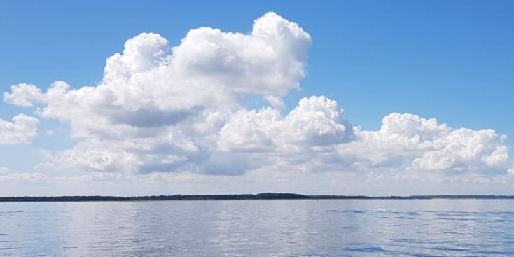 Bannerbild von Thore Gitarrist*in aus Lübben (Spreewald)