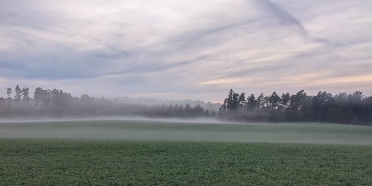 Bannerbild von Donnie Wuh Gitarrist*in aus Coburg