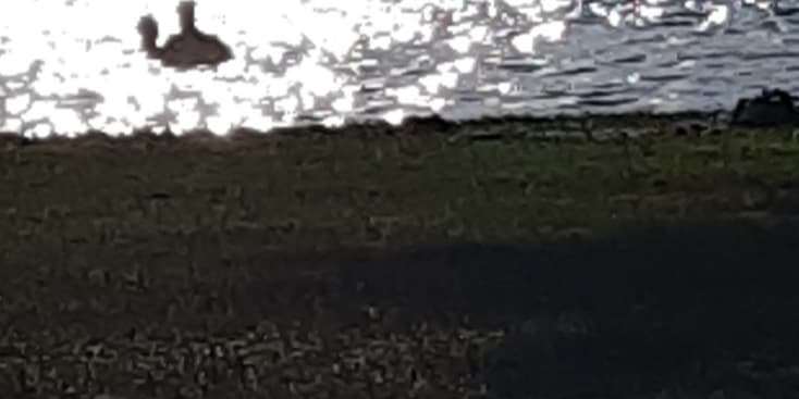 Bannerbild von Joig Rapper*in aus Uplengen