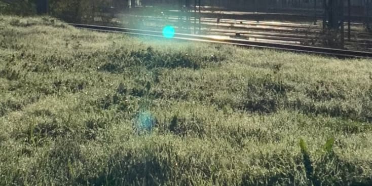 Bannerbild von Philipp Heil Musikproduzent*in aus Sankt Leon-Rot