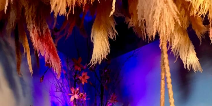 Bannerbild von Wieland Künstler*in aus Berlin