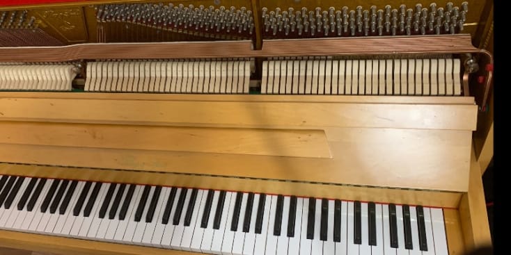 Bannerbild von Julian S Schlagzeuger*in aus Blomberg