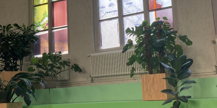 Bannerbild von Umagumanu Sänger*in aus Berlin