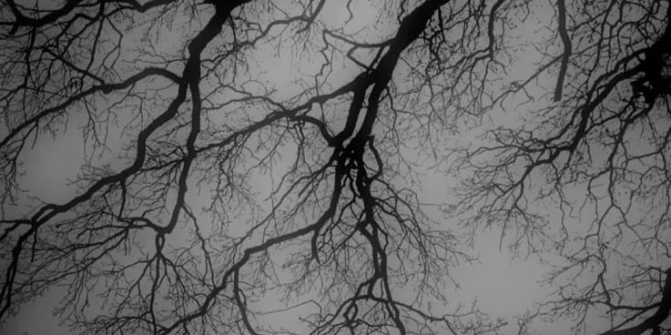 Bannerbild von Jetro Winter Sänger*in aus Oberaula