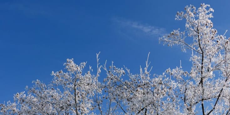 Seo.images.profile.banner.name-category-city