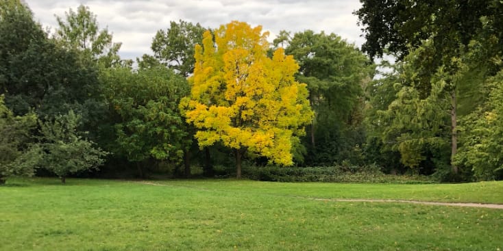 Bannerbild von Robert Bassist*in aus Berlin Bannerbild von Robert Bassist*in aus Berlin