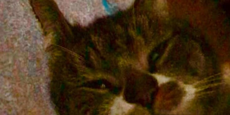 Seo.images.profile.banner.name-category-city Seo.images.profile.banner.name-category-city