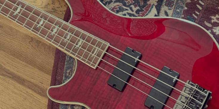 Bannerbild von Eln Bassist*in aus Köln