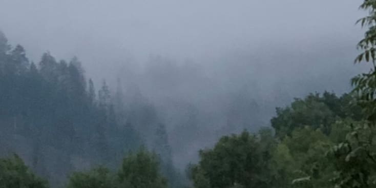 Bannerbild von emely Gitarrist*in aus Marktrodach