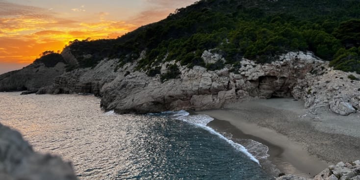 Bannerbild von Dave Künstler*in aus Würzburg