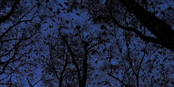 Bannerbild von Scarlett Sänger*in aus Hemer