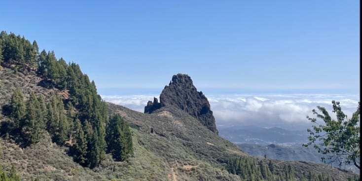 Bannerbild von Pheylema Sänger*in aus Berlin