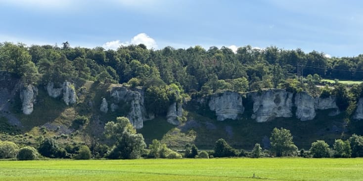 Bannerbild von Daniel Gitarrist*in aus Heidelberg