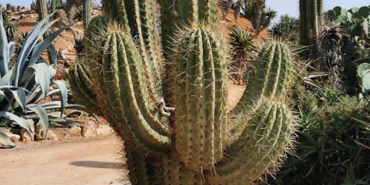 Bannerbild von Aris Schlagzeuger aus Köln