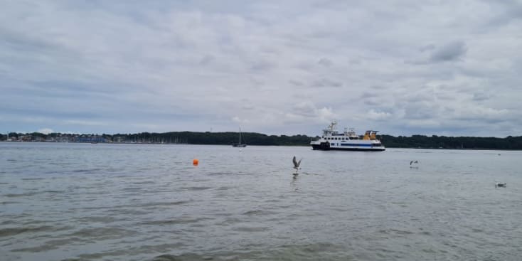 Bannerbild von Sven B. Gitarrist*in aus Fehrbellin