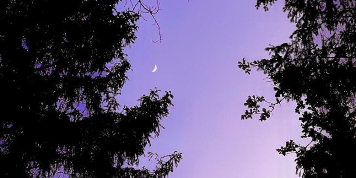 Bannerbild von Tyr Künstler aus Munich Bannerbild von Tyr Künstler aus Munich