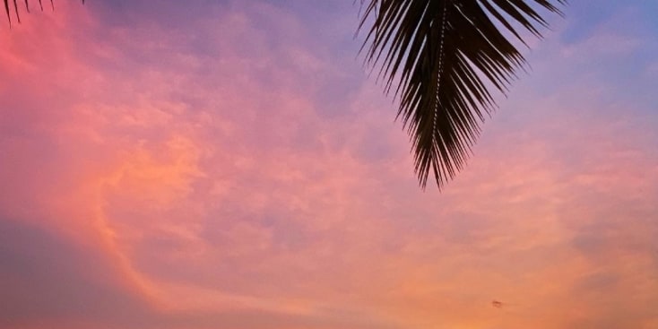 Bannerbild von Hanna_jo Gitarrist*in aus Bad Vilbel