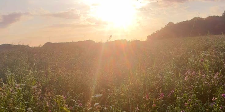 Bannerbild von Ralody Singer-Songwriter*in aus Bad Boll