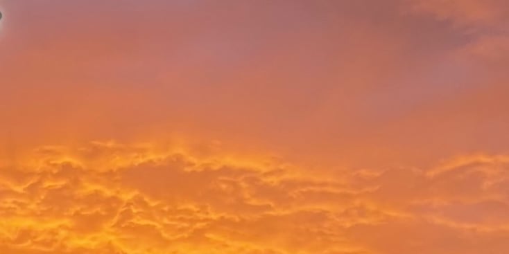 Bannerbild von Guilherme de Castro Bassist aus Berlin